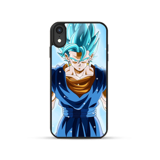 GOKU GLASS CASE